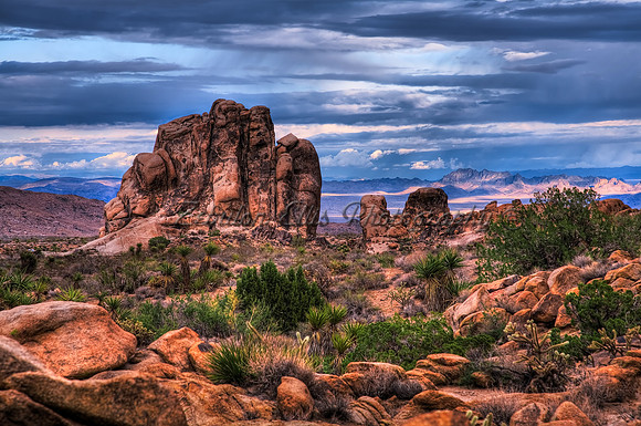 Rainy day in the desert.