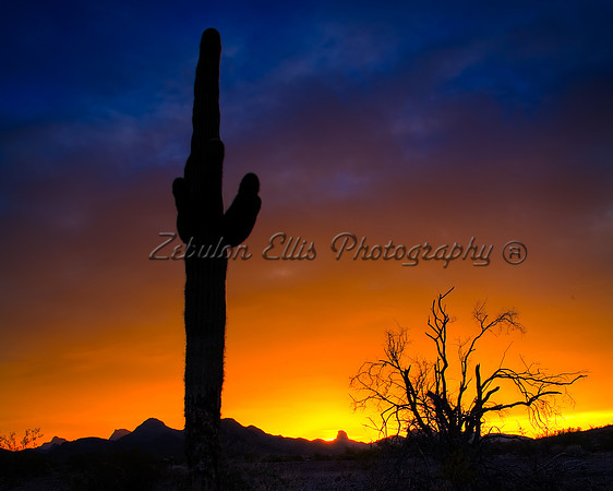 Arizona Sunrise