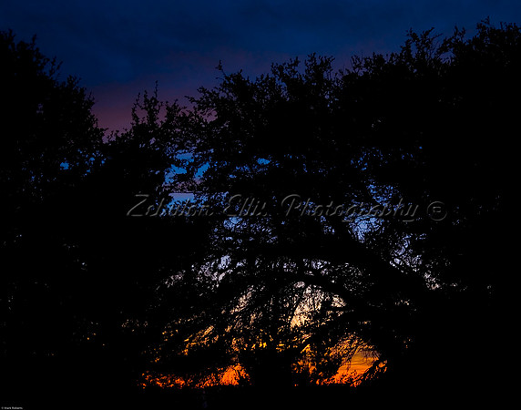 Camp Sunrise