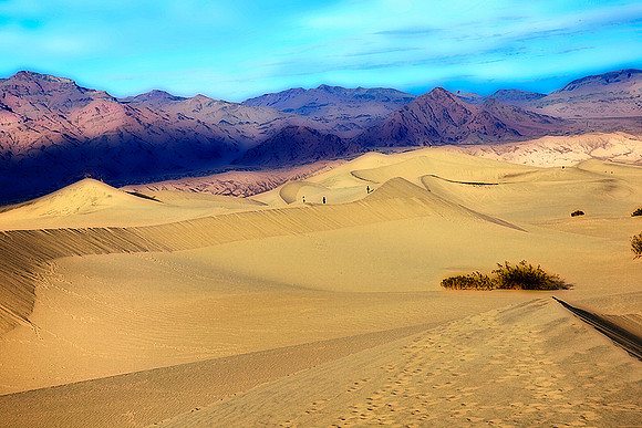 Day on the dunes