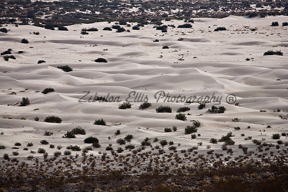 Sea of Sand